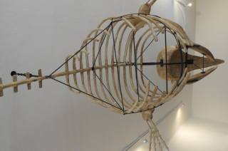 V malešovském muzeu můžete vidět kostru velryby