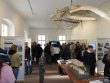 20190225172934_10: V malešovském muzeu můžete vidět kostru velryby