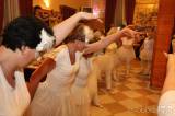 20190421011215_5G6H3963: Foto: Fialkový ples pozdravily žlebské ženy klasickým baletem „Labutí jezero“