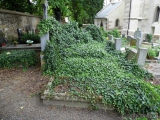 141: NÁZOR: Pohled na stav kutnohorských hřbitovů vyvolává smutek