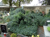 181: NÁZOR: Pohled na stav kutnohorských hřbitovů vyvolává smutek