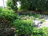 241: NÁZOR: Pohled na stav kutnohorských hřbitovů vyvolává smutek