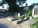 311: NÁZOR: Pohled na stav kutnohorských hřbitovů vyvolává smutek