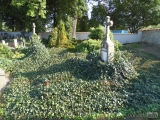 361: NÁZOR: Pohled na stav kutnohorských hřbitovů vyvolává smutek