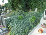 381: NÁZOR: Pohled na stav kutnohorských hřbitovů vyvolává smutek