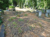 50: NÁZOR: Pohled na stav kutnohorských hřbitovů vyvolává smutek