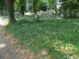 511: NÁZOR: Pohled na stav kutnohorských hřbitovů vyvolává smutek
