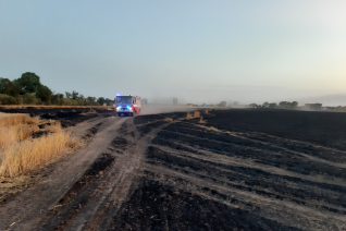 Při požáru pole na Kutnohorsku shořelo 53 hektarů obilí