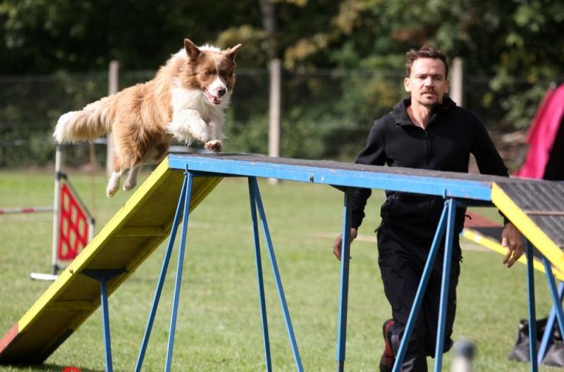 Foto: Na kutnohorských překážkách připravili další psí závody agility