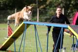 20190908122233_5G6H6405: Foto: Na kutnohorských překážkách připravili další psí závody agility