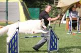 20190908122237_5G6H6442: Foto: Na kutnohorských překážkách připravili další psí závody agility