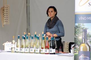 Foto: Kolín hostil degustační festival vinařství z Čech a Moravy