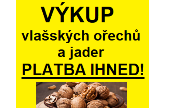 TIP: Výkup vlašských ořechů a jader v Kutné Hoře. Platba ihned! 