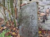 20191108133657_5: Křišťálovou noc si připomeňme židovským hřbitovem v Uhlířských Janovicích
