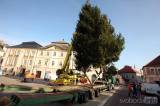 20191119122833_5G6H1321: Foto: Letošní vánoční strom Kutné Hoře věnovali Muchovi ze Svatého Mikuláše