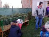 20191201222105_zehuby184: Foto: Vánoční strom v Zehubech rozsvítil anděl za vydatné pomoci dětí