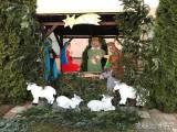 20191202185328_bahno_strom2019107: V Bahně zavládla pravá vánoční nálada před první adventní nedělí