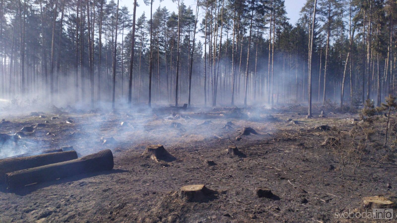 Foto: Požár u Kozohlod zaměstnal patnáct hasičských jednotek 