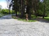 20200512210145_29: V Uhlířských Janovicích revitalizovali městský park