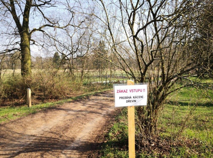 Park Mošnice v Kladrubech nad Labem prochází revitalizací, veřejnosti je vstup zakázán!