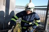 5G6H1163: Foto: Na rozhlednu Vysoká se vypravil rekordní počet dobrovolných hasičů!