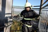5G6H1180: Foto: Na rozhlednu Vysoká se vypravil rekordní počet dobrovolných hasičů!
