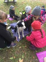 20201027211522_MS_MISK73: Děti si vyzkoušely canesterapii na zahradě MŠ Miskovice