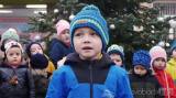 20201129141956_hlizov149: Foto, video: V Hlízově rozsvítili vánoční strom on-line