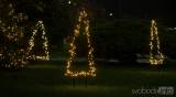 20201129141956_hlizov150: Foto, video: V Hlízově rozsvítili vánoční strom on-line