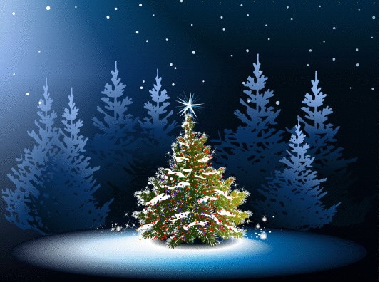 Obyvatelé Církvice mohou vánoční přání pro sousedy zavěsit na společný strom
