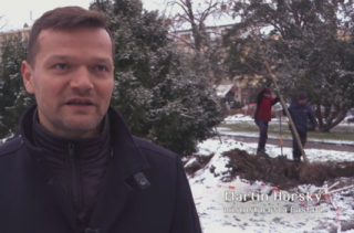Video: V centru Čáslavi probíhá revitalizace zeleně