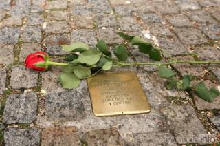 Také letos si připomenou oběti holocaustu čištěním „Stolpersteine kamenů“