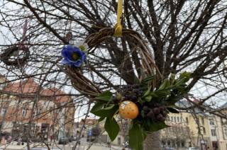 Velikonoční stromy poprvé v Kutné Hoře díky osadníkům!