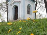 20210513094638_5: Středomoří evokují botanické tulipány v Čáslavi