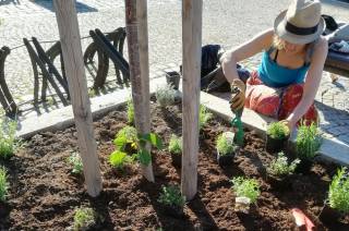 Palackého náměstí v Kutné Hoře provoní čerstvé bylinky!