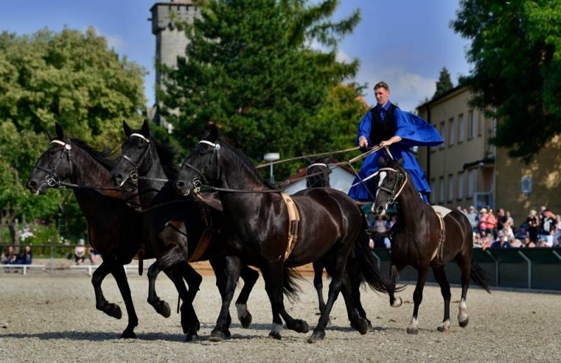 Starokladrubští koně přilákali na Velký jezdecký den ve Slatiňanech dva tisíce diváků