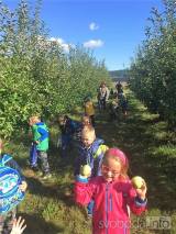20210930180451_BPMS50: Děti z MŠ a ZŠ Bílé Podolí se dozvěděly spoustu informací o jablkách
