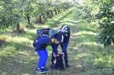 20210930180452_BPZS64: Děti z MŠ a ZŠ Bílé Podolí se dozvěděly spoustu informací o jablkách