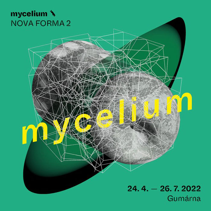 2022_mycelium.jpg