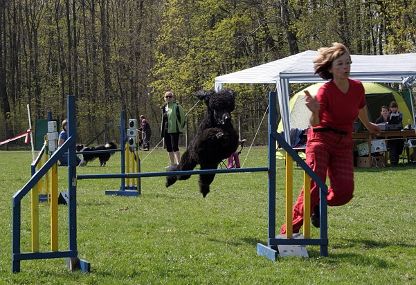 Kutnohorské kynologické cvičiště hostilo závody psů v agility 