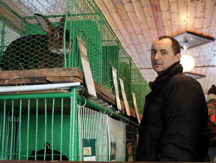 Foto: Chovatelé holubů a králíků si v Hostovlicích přišli na své