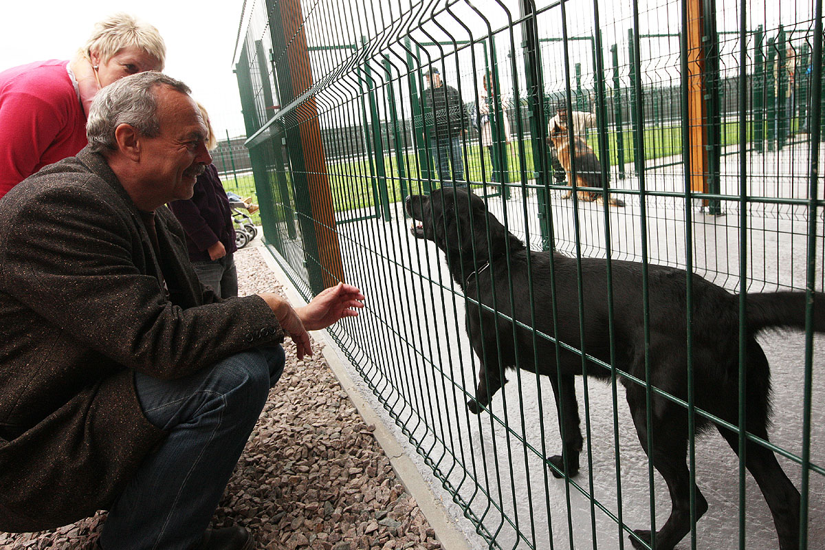 Foto: Na Karlově otevřeli nový útulek pro psy, začal jeho zkušební provoz