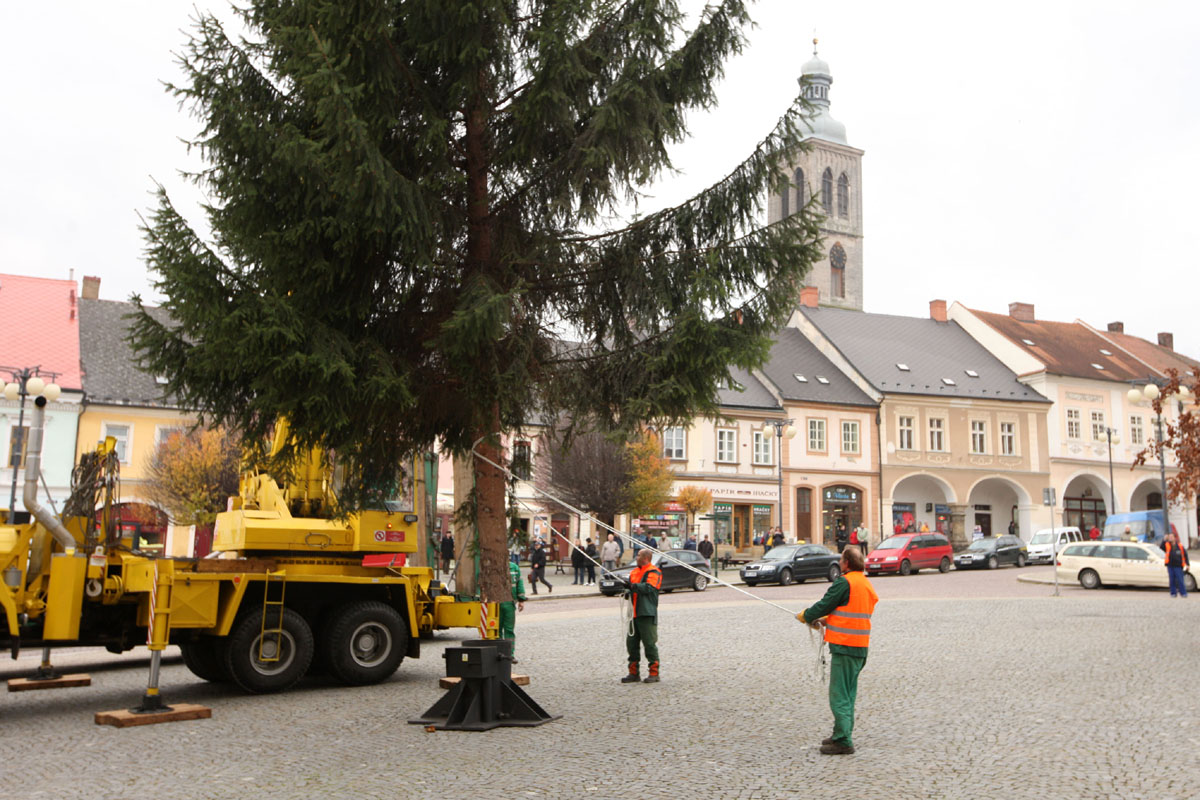 Foto, video: Vánoční strom pro Kutnou Horu letos vyrostl na sídlišti v Šipší