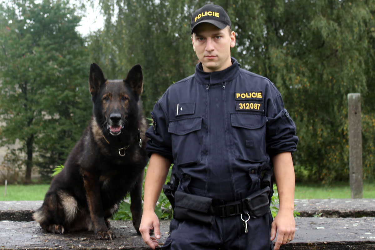 Služební pes Kamil se chystá na odpočinek, u policie ho v listopadu nahradí Zenit