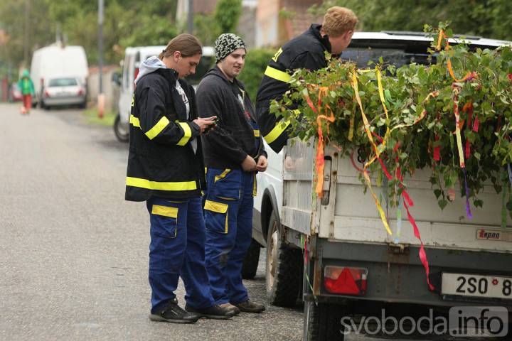 Dobrovolní hasiči z Lomce v sobotu vztyčí březové májky