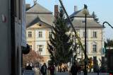 IMG_1106: Vánoční strom už zdobí Palackého náměstí v Kutné Hoře, rozsvítí se 2. prosince