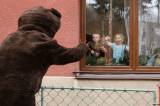 5G6H1639: Medvěda se podařilo udržet na uzdě, masopustního průvodu si užili v Okřesanči