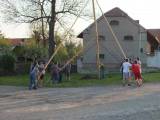 DSCF0648: Foto: Také v Olšanech vztyčili k nebi několikametrovou máj