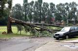 5g6h3876k: Video: Odstraňovali popadané stromy, museli evakuovat i děti z tábora v Chroustkově
