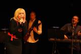 5G6H7891: Foto: V Městském Tylově divadle v pondělí zazpívali Petr Rezek a Hana Zagorová